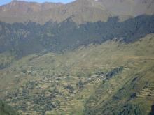 forest at jagdulla gaupailika where different types of medicinal herbs are found like yarchaghumba,panchaule